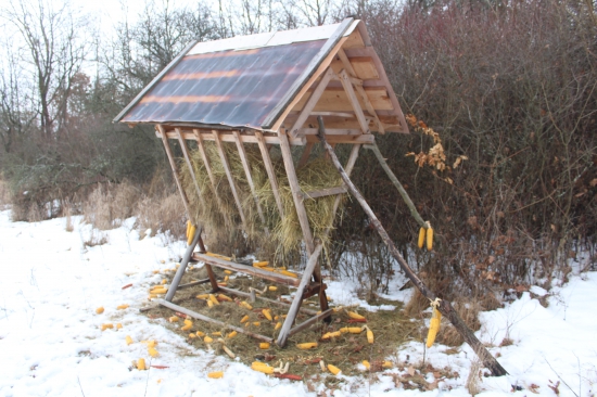 Môj krmelček-čas prikrmovania