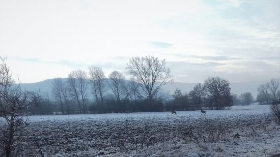 Podpoľanie.