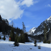 V našich veľhorách.