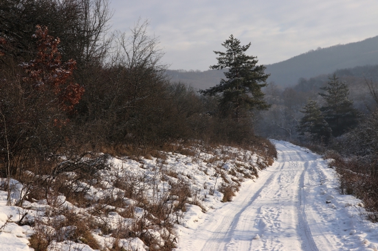 Podpoľanie.
