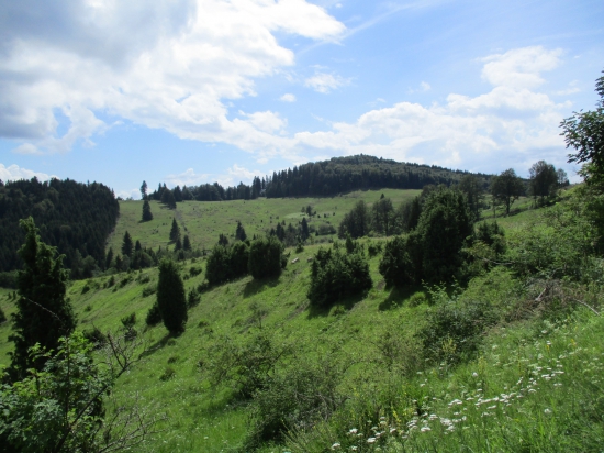 Podpoľanie...