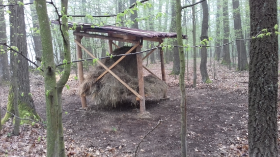 Vyčistenie okolo seníka.