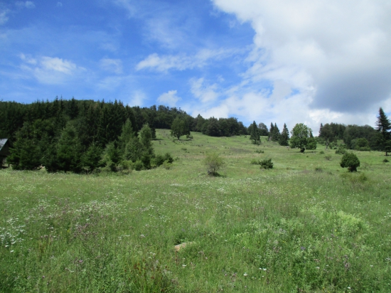 Príslopy pod Poľanov.
