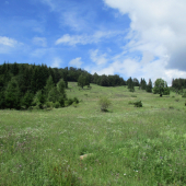 Príslopy pod Poľanov.