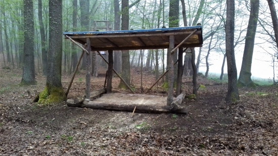 Jarné čistenie okolo kŕmneho miesta po zime.