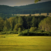 Podpoľanie.