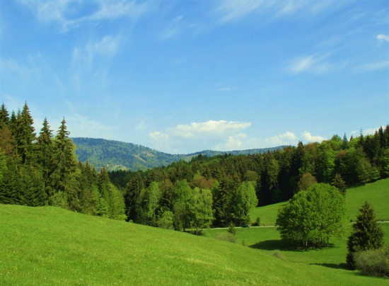 Kyslinky-Zálomská.