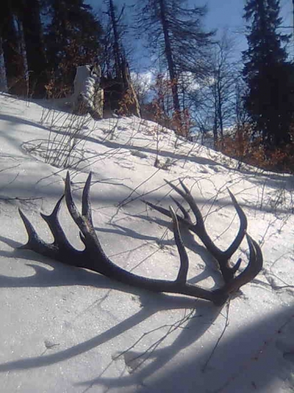 Spomienka na marec 2011.