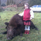 Kanec 250 kg z nášho revíru 2010.
