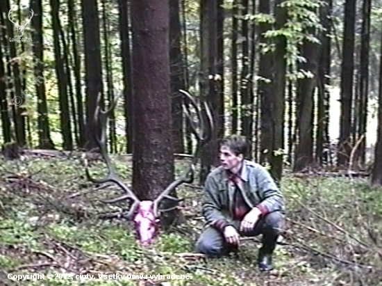 Vlčia vizitka