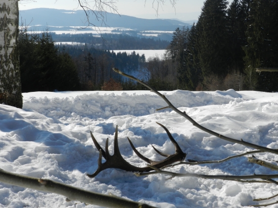 Chutilo? Dík, aj o rok...