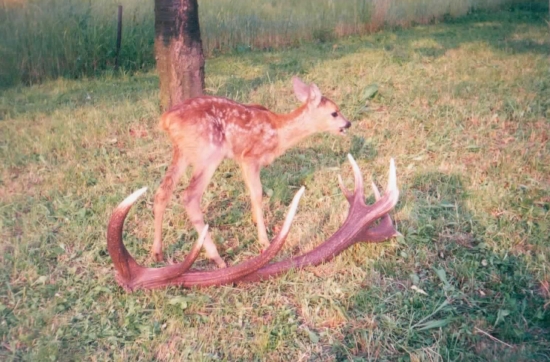 Aj ja budem mať niekedy také,či ?...