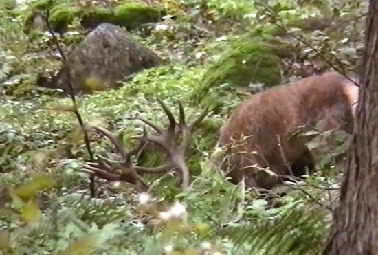 Vysmednutý a z ruje vyčerpaný.