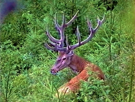 Mám hotové,oddychujem.