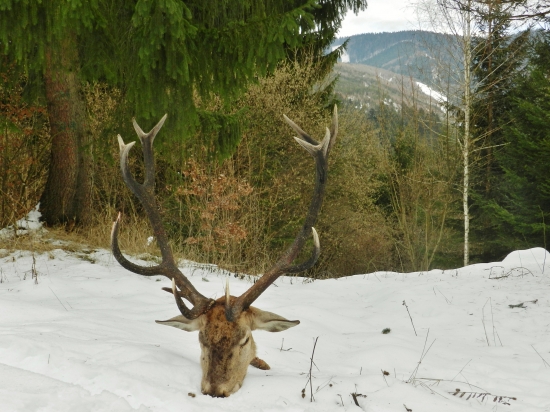 Jožkov predsilvestrovský starší pán.
