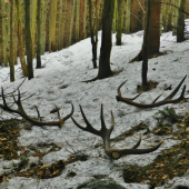 Keď je v hore kľud.