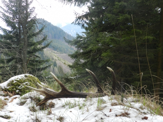 Kde iní končia, my len začíname.