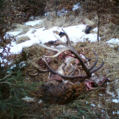 Sa tu zas raz niekto dosítosti napapal.