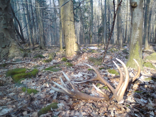 Patroni stáli pri mne.