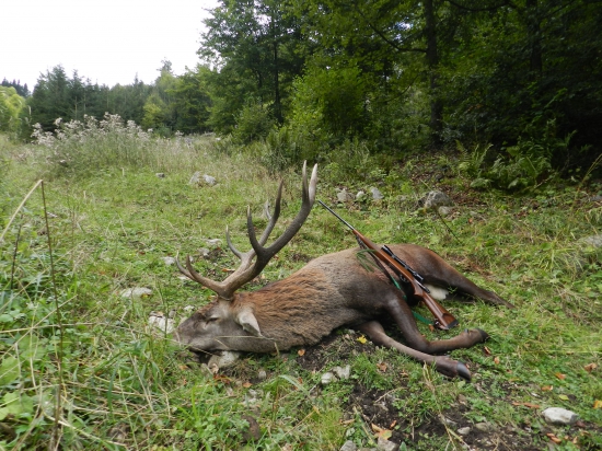 Večný osmák zaručal posledný krát...