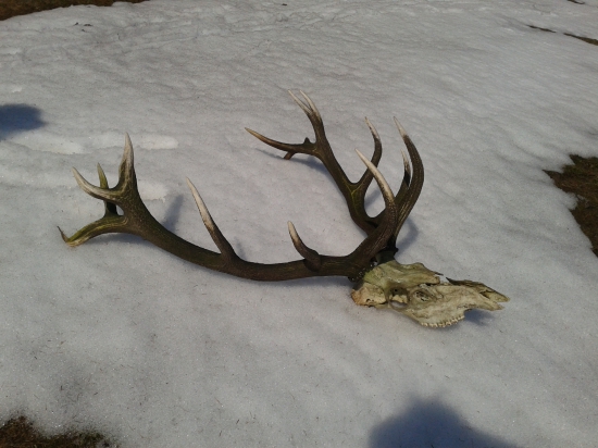 Pekne ale nie moje :(