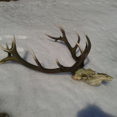 Pekne ale nie moje :(