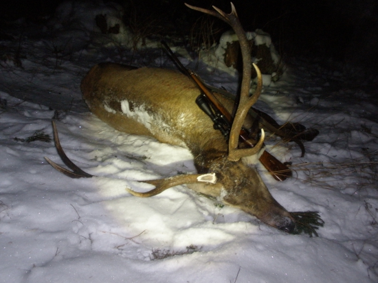 este jedna iny pohlad :)