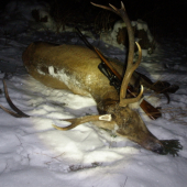 este jedna iny pohlad :)