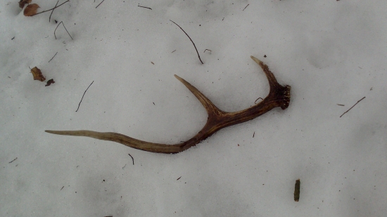 dnes najdeny ale minulorocny