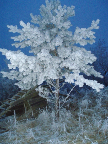 pri spadnutom posede