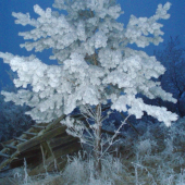 pri spadnutom posede