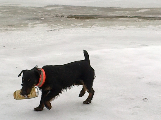 Už aj Endy upratuje bordel