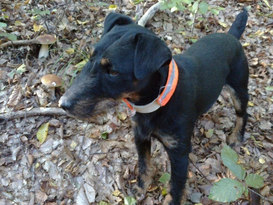 náš malý zberateľ :)