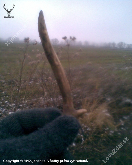 Prechádzka