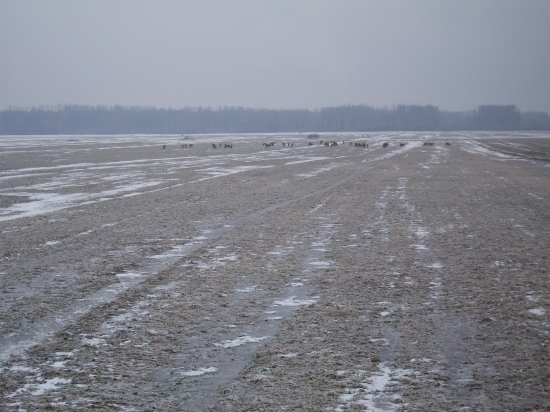Prechádzka