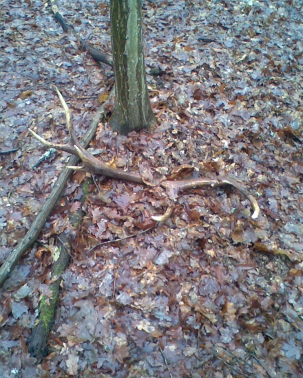 Slanske Vrchy 12-torak