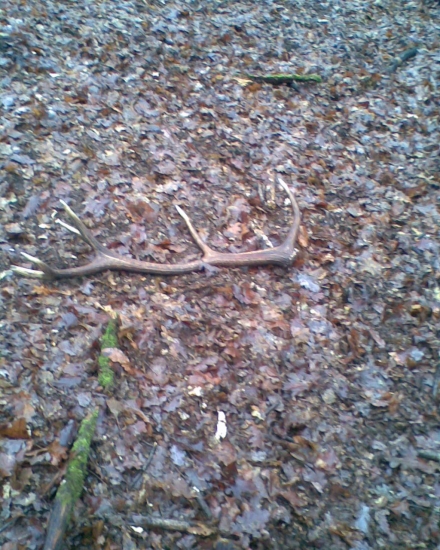 Slanske Vrchy 12-torak