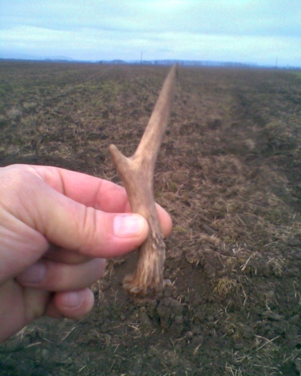 Maličky ale aj ten potešil.