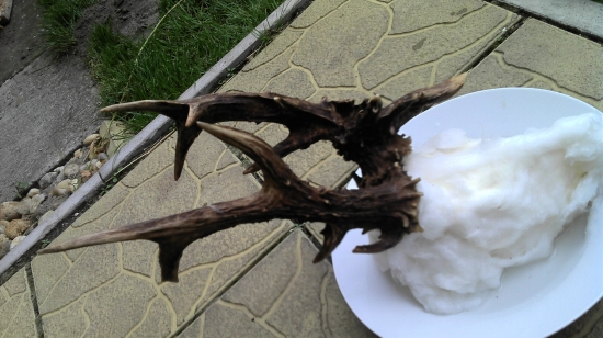 trofej môjho kamarata - nepravidelný šestnástorák