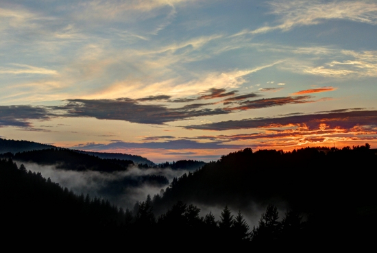 Milujem tú hmlu po daždi