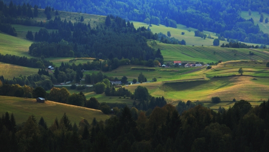 Šajba