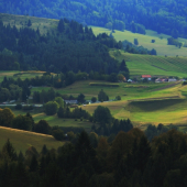 Šajba
