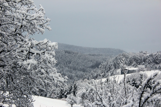 Sneeeeeeeh