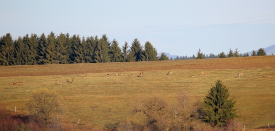 Ráno o pol 8 z balkóna