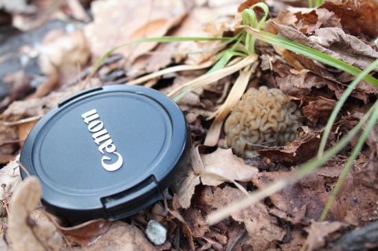 U nás ešte len takéto maličké