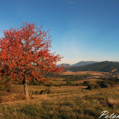 Milujem tie jesenné farby