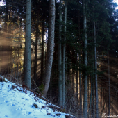 Ked sa slnko horou driape