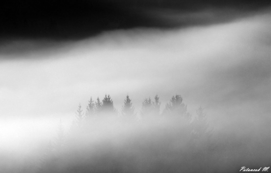 Ponorené v oblakoch