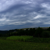Búrka