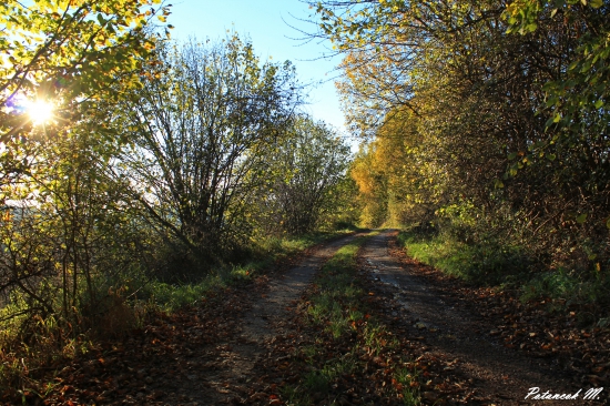 Pestrofarebná cestička